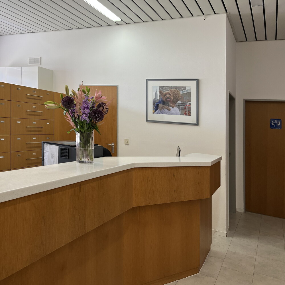 General practice in Eching – Reception area with a bouquet of flowers.